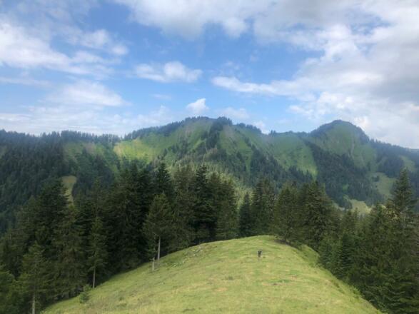 Von den Salzböden Richtung Hörnle