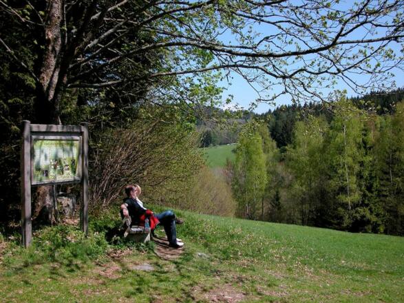 Ruhebank im Riedbachtal