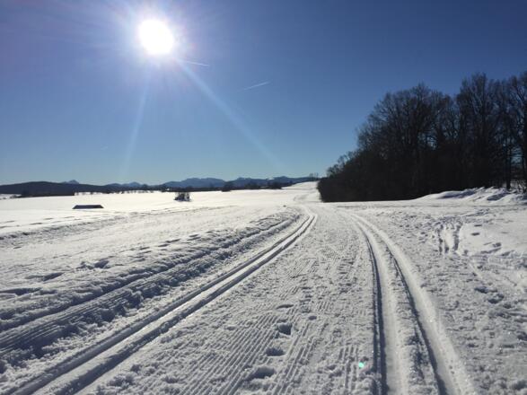Loipe Holzkirchen - Kleinhartpenning