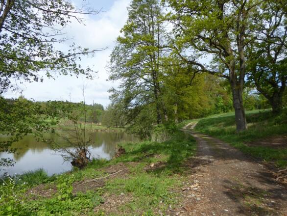 Einstieg in das Tal "Tälerinn" beim Schanzlweiher