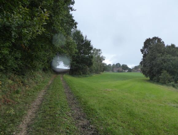Wiesenweg kurz vor Poggersdorf