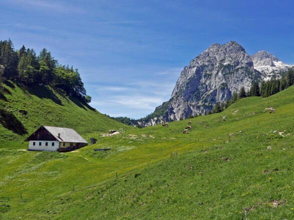 Das Gebiet der Halsalm