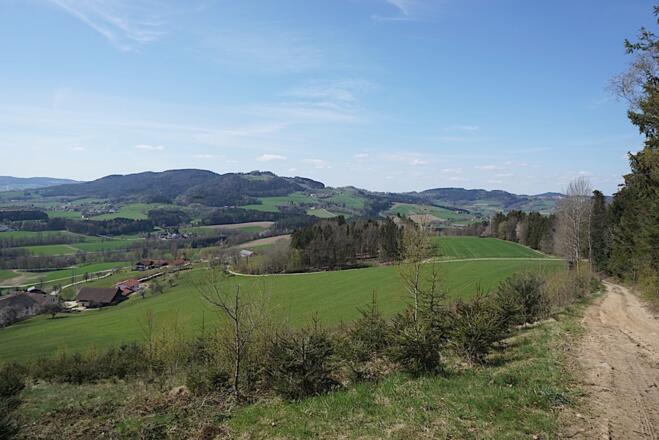Bei Weingarten mit Blick zum Gallner