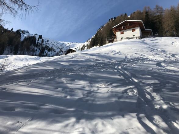 Arzler Alm