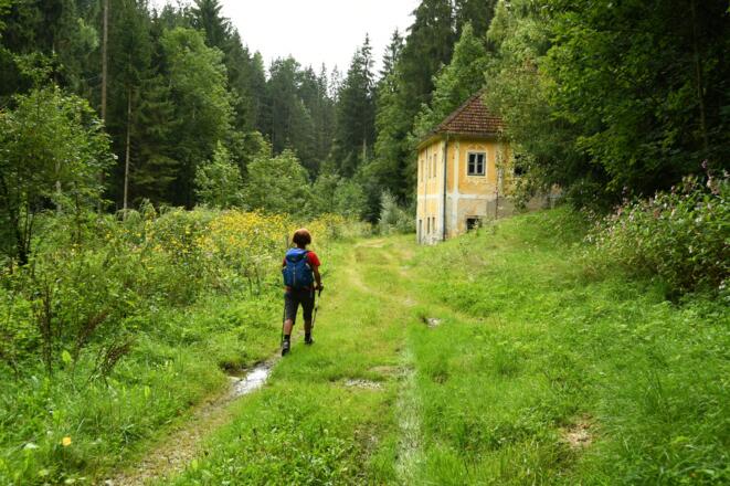 Entlang der Waldaist - Riedlhammer