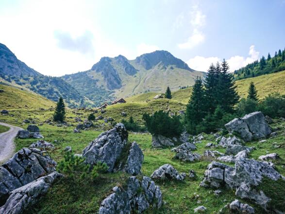 Saftige Almlandschaft - im Hintergrund die Rotwand