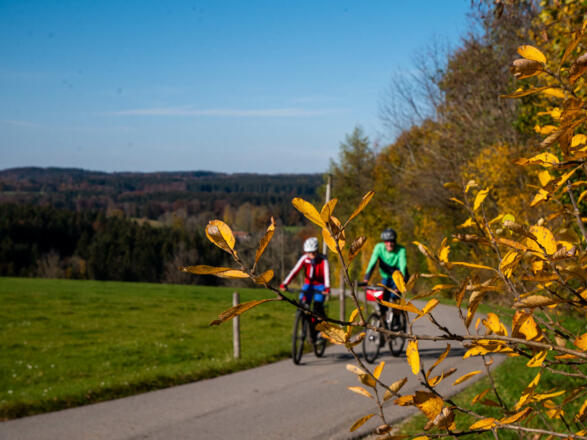 gleich oben angekommen