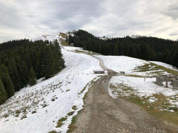 Blick zum hinteren Hörnle mit etwas Schneeauflage