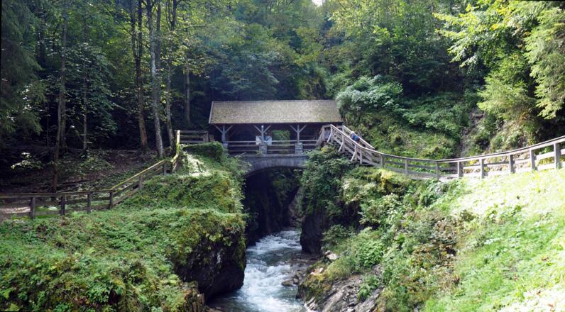 Schluchteinstieg beim Brückerl ~790m