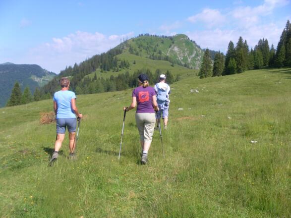 Almwiesenquerung zum Wieslerhorn