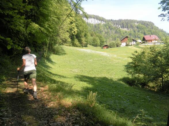 Mühlstein Ostflanke aus dem Waschlgraben