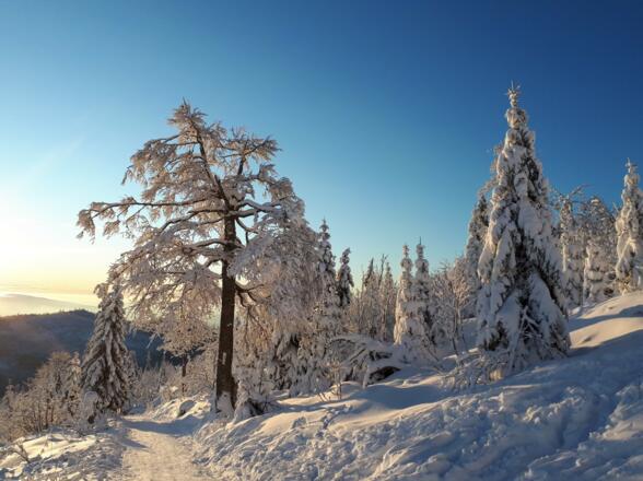 Winderwonderland am Lusen