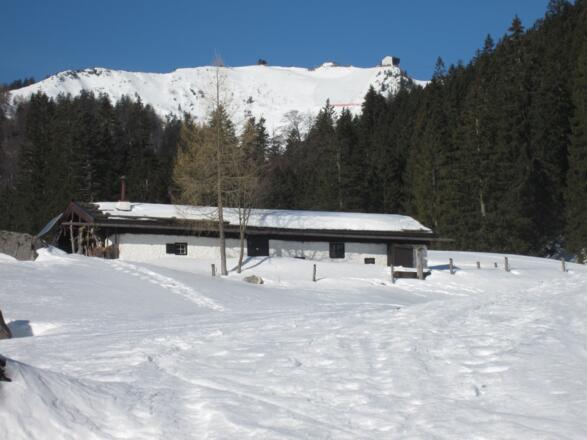 Farnboden Alm