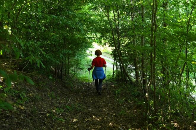 Wanderweg nach Reichenstein