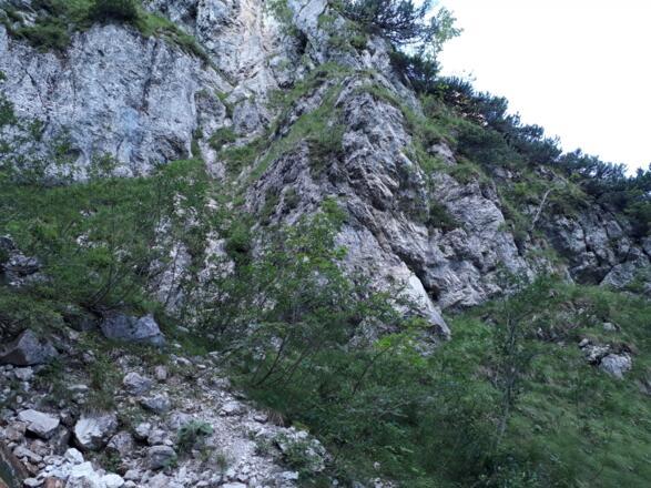 Sonntag, 15. Juli 2018 11:38:12