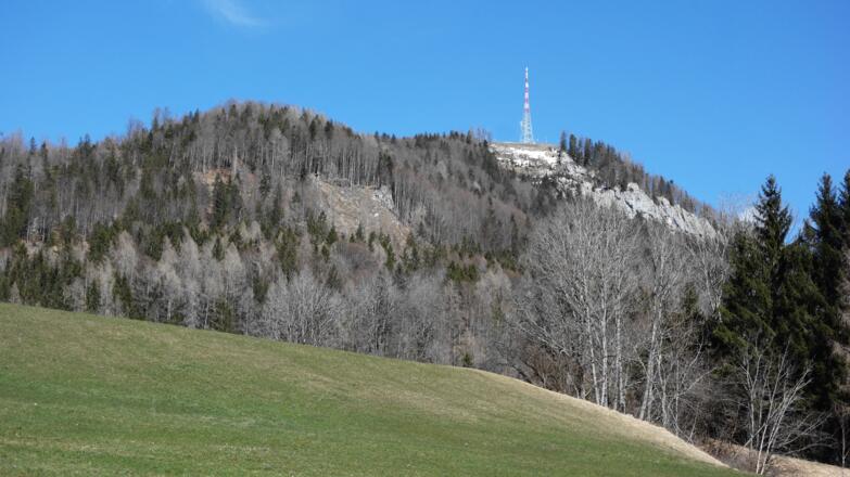 Kleinerberg 1287m, im Süden aper