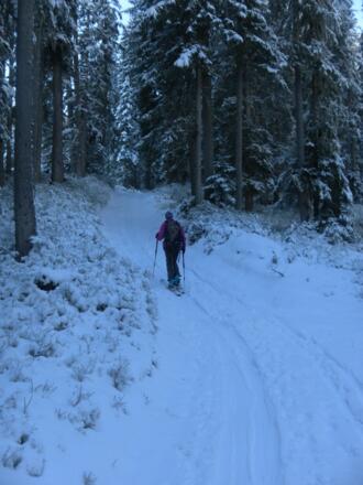 Skitourenroute im Hochwald