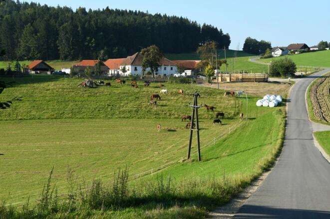 Ponyhof Daneder in Hundsdorf
