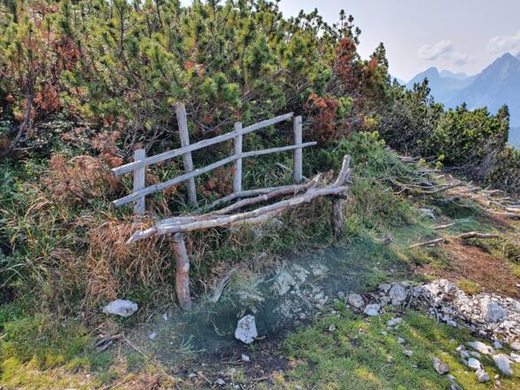 Am Lindenkopf