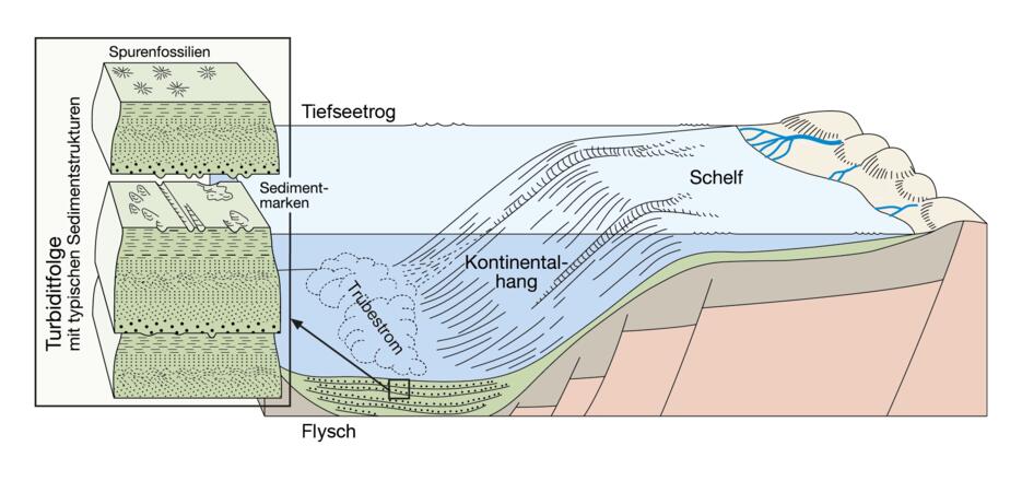 Turbiditfolge im Flysch der Alpen und ihre Entstehung