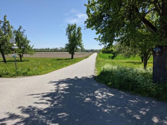 Straße durch die Felder nach Weidet