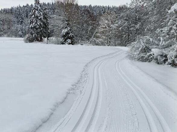 Loipenabschnitt Klinglbach