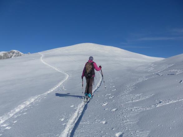 Westrücken des Mühlbacher Schneebergs