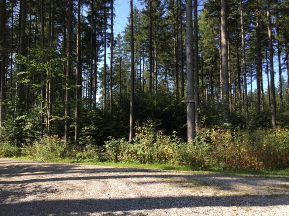 Richtung Forsthaus Kasten