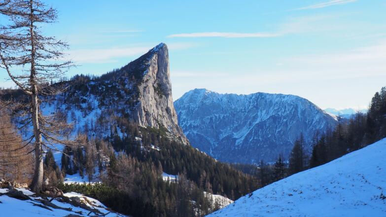 Stubwieswipfel vom Anstieg zum Halskogel