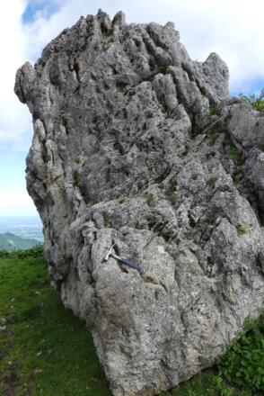 Felsblock aus rauhwackeartigem Dolomit