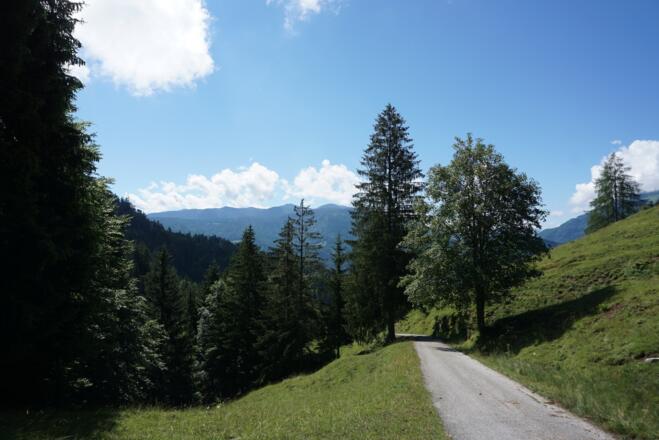 Steile Straße zur Hutzenalm