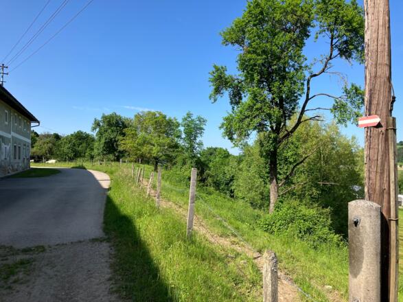 Dürnbachrunde