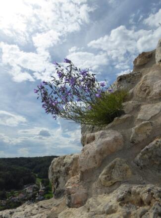 Blick von der Burgruine Kallmünz