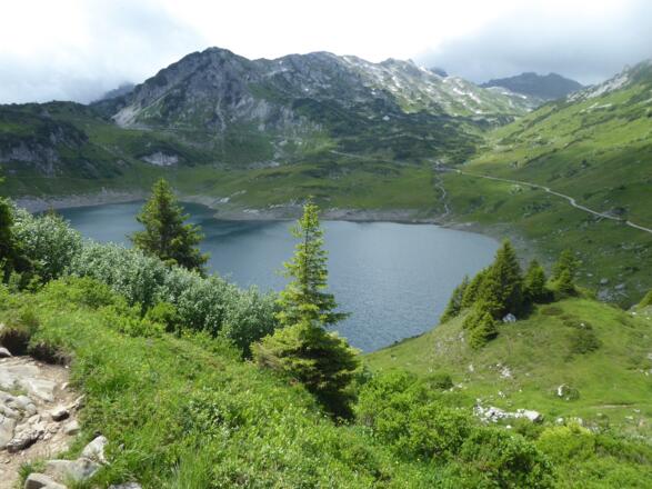 Formarinsee