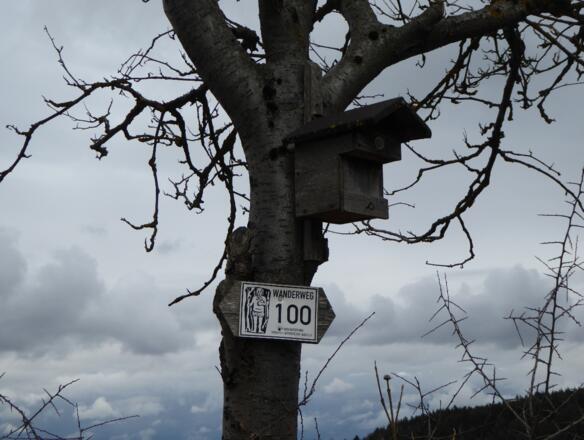 Wegmarkierung 100 - Beginn