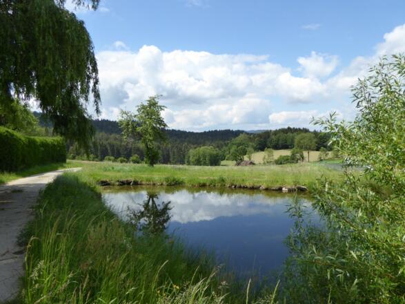 Bei Ettmannsdorf