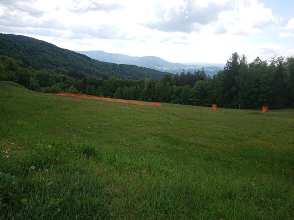 Rusel Parkplatz Blick zum Brotjacklriegel