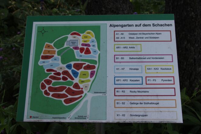 Alpengarten auf dem Schachen