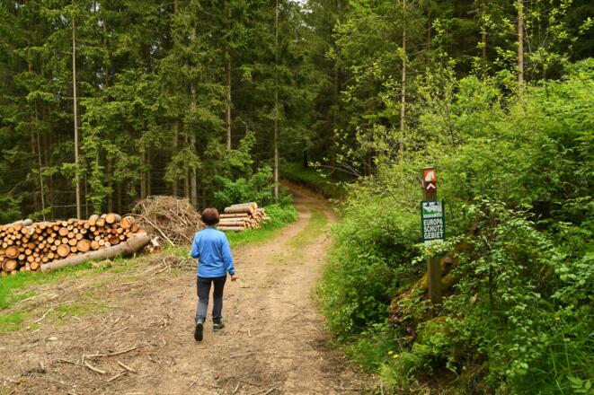 Am Reitweg unterwegs zur Waldaist