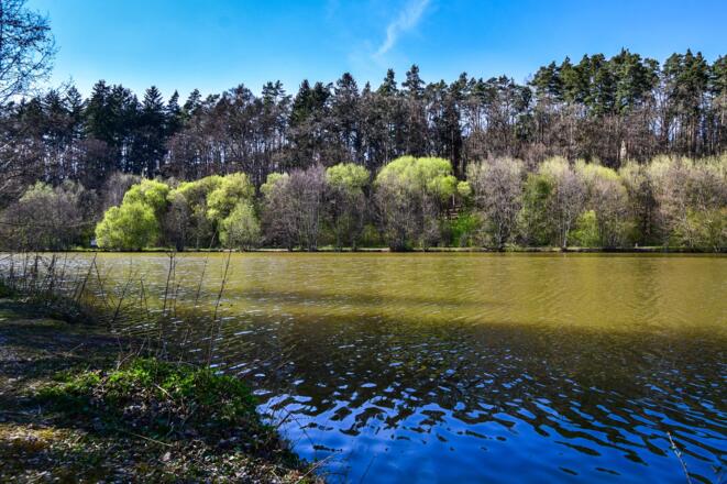 Frühling am Fröschauer Weiher
