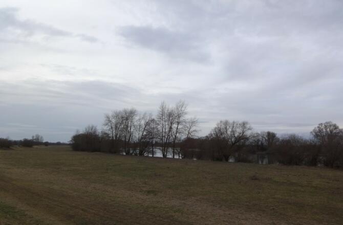 Donau