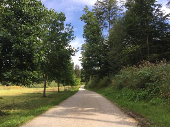 Weltwald im Kranzberger Forst