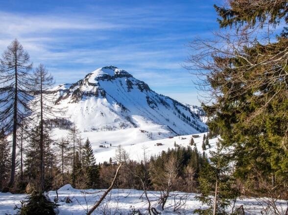 Das Gennerhorn von Osten: Mit einer Querung unter dem Felsband gelangt man in den Nordosthang.