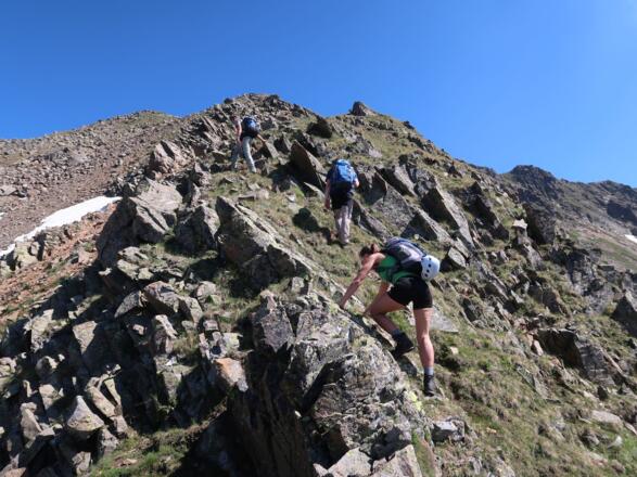 Der Südrücken des Paterskopfes.