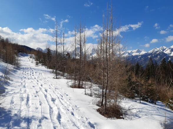 immer wieder Weitblicke ins Tote Gebirge