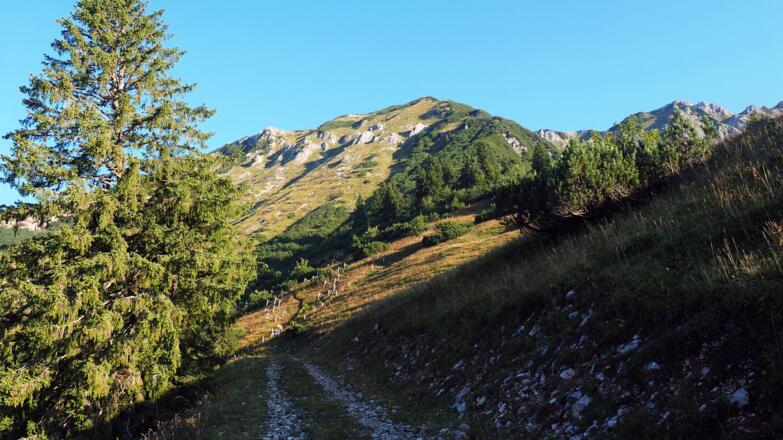 Ende Ziehweg 1510m mit Kitzstein 1925m im Hintergrund.