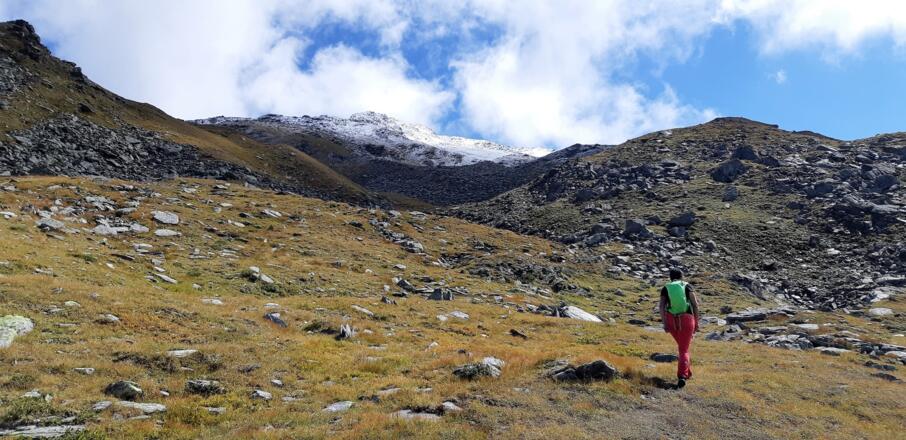 Auf den Malgrübler im Voldertal - über die Vorbergalm rauf, runter über die Markisalm. Die Fotos erstanden am ersten Tag nach einem Wettersturz (01.09.2021).