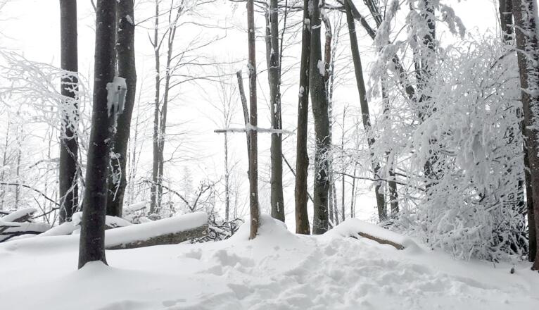 Einfaches Kreuz am Zederbauernspitz (2021)