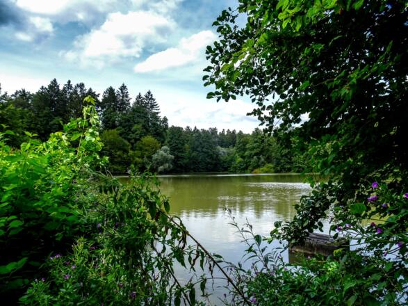Fröschauer Weiher