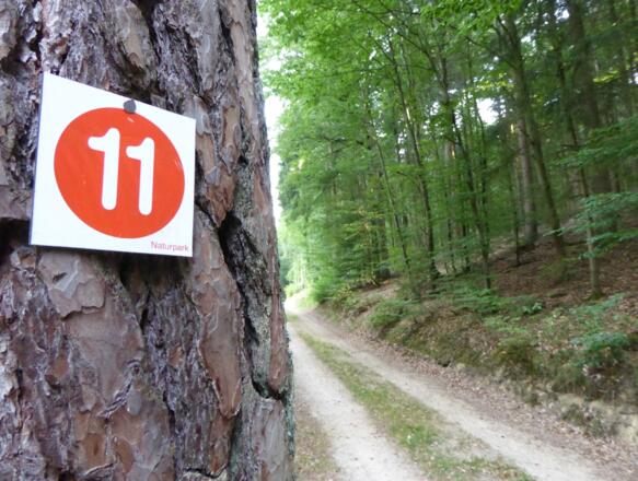 Wegmarkierung Nr. 11 Jägersteig